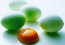 神奇绿壳柴鸡蛋