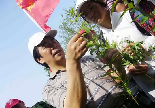 采药材--上山挖药材　做个“采药翁”！